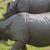 Chitwan National Park 5 days