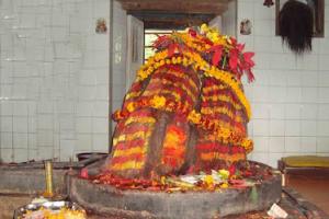Doleshwar Mahadev Tour (Missing Head of Kedarnath)